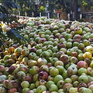 礼泉县爆料新闻最新,最新爆料揭示惊人真相